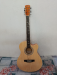 Acoustic Guitar TGM
